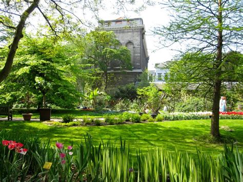 Botanical Garden, Antwerp